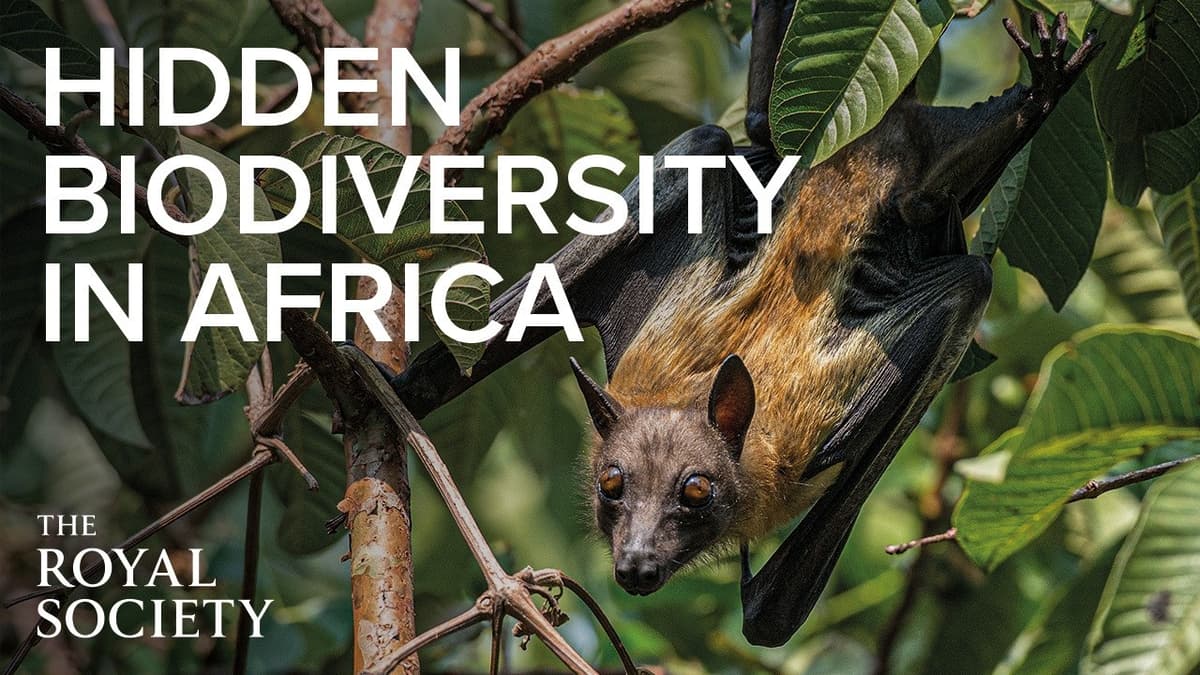What Do Bats Reveal About Hidden Biodiversity in Africa? | The Royal Society