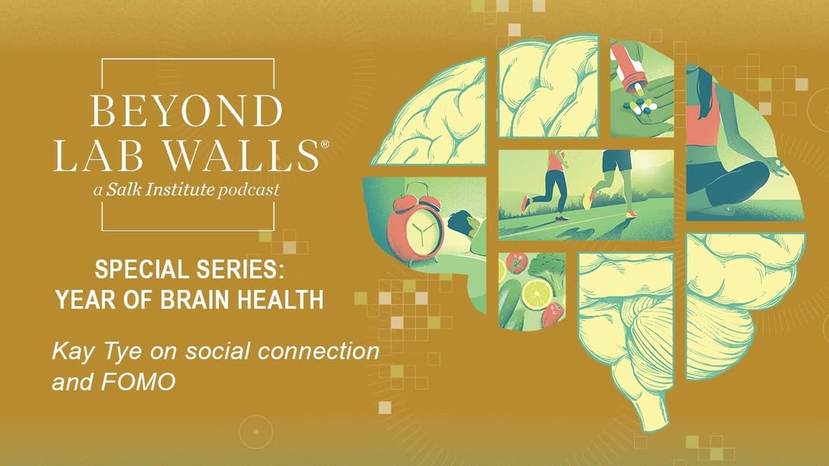 Salk’s Year of Brain Health: Kay Tye on Social Connection and FOMO