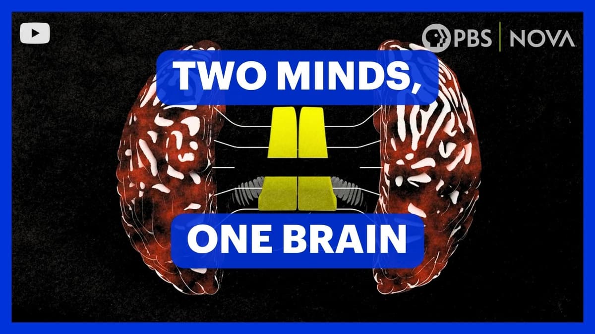 Your Brain Has Two Minds | NOVA | PBS
