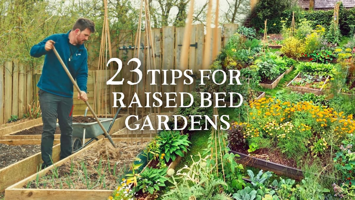 23 Raised Bed Gardening Tips I Wish I Knew Sooner