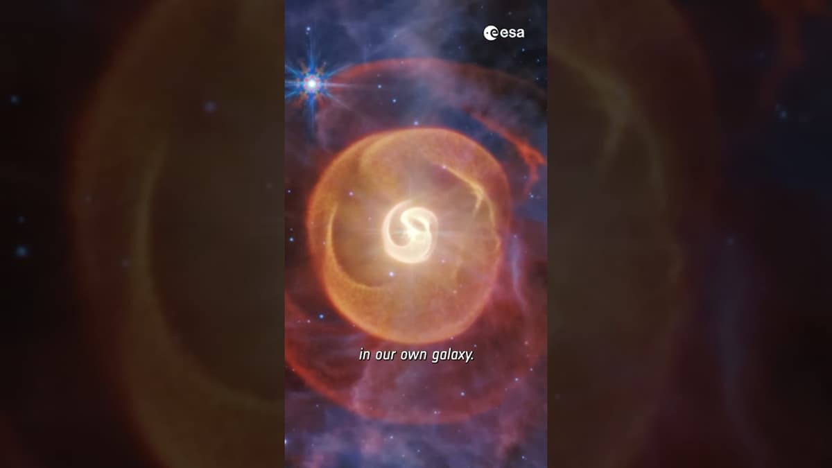 What Happens when Two Rare Wolf–Rayet Stars Dance Through Space? ✨