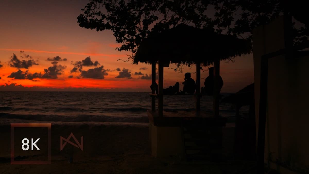 Sunrise Ocean Sounds | Morning Walk on Koh Samui, Thailand, 8K HDR ASMR Sleep / Study
