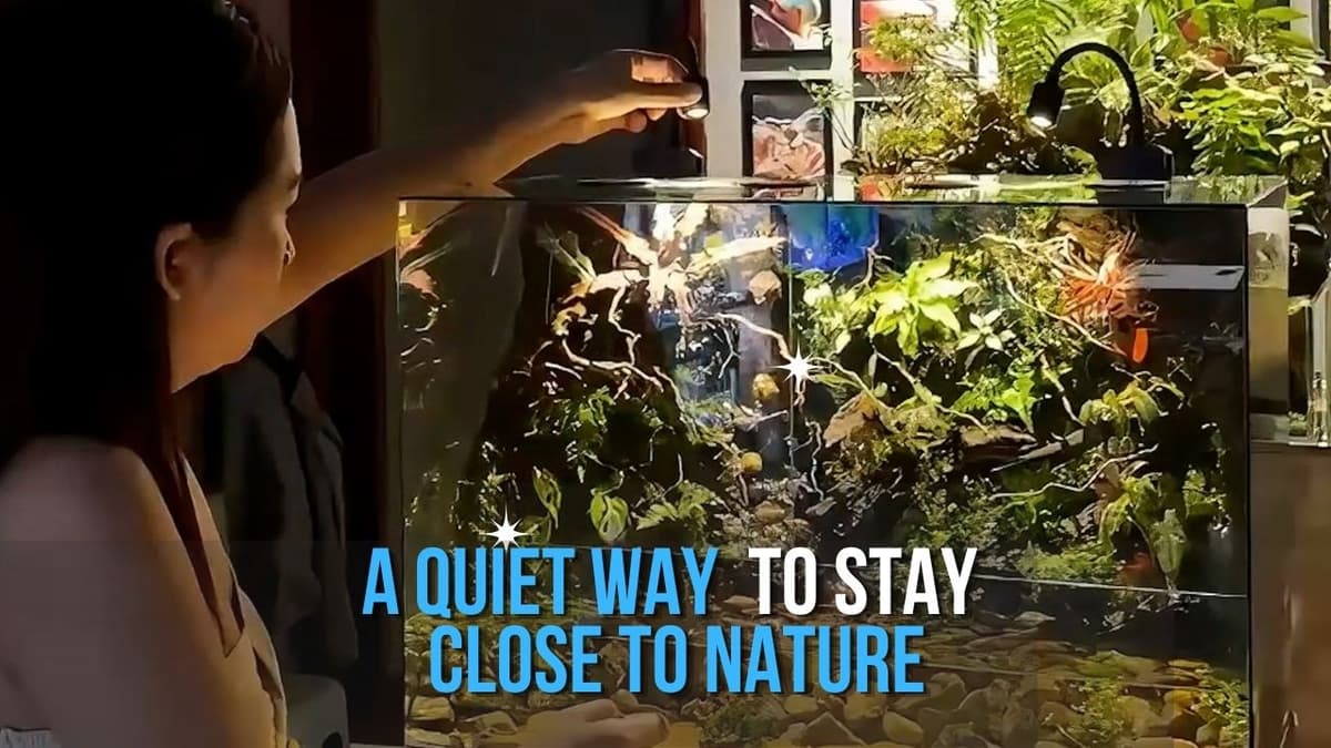 A Quiet Way to Stay Close to Nature | Terrarium - Một Góc Thiên Nhiên Trong Nhà