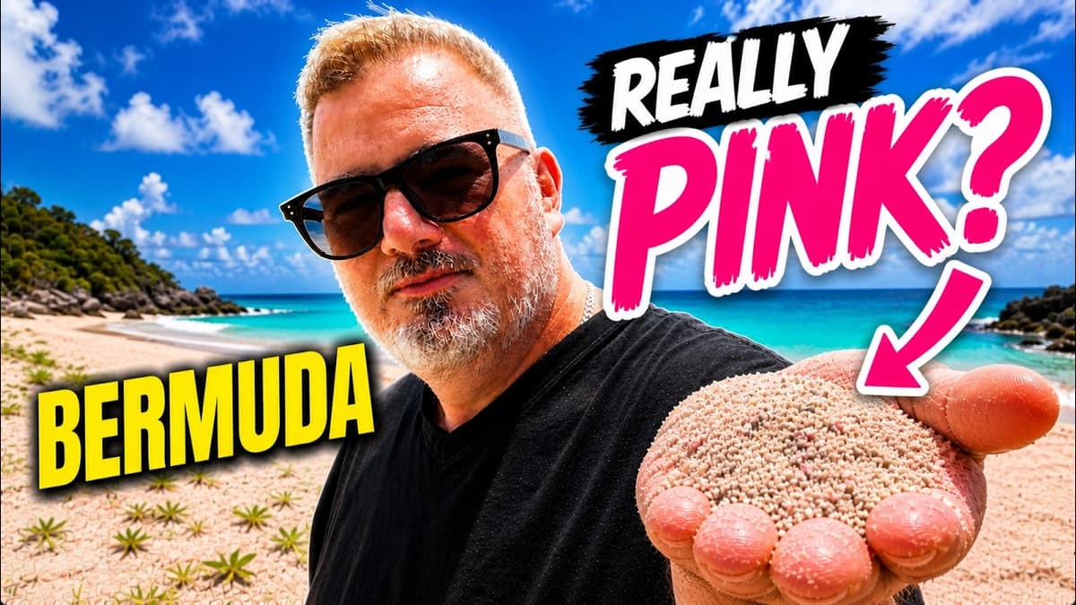 I Took a 5 Hour Bermuda Tour… Is the Pink Sand Real?