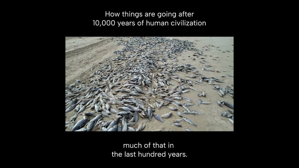 The Desolation of Ecosystems Has Resulted in Our Planet Operating at Half Its Productive Capacity.