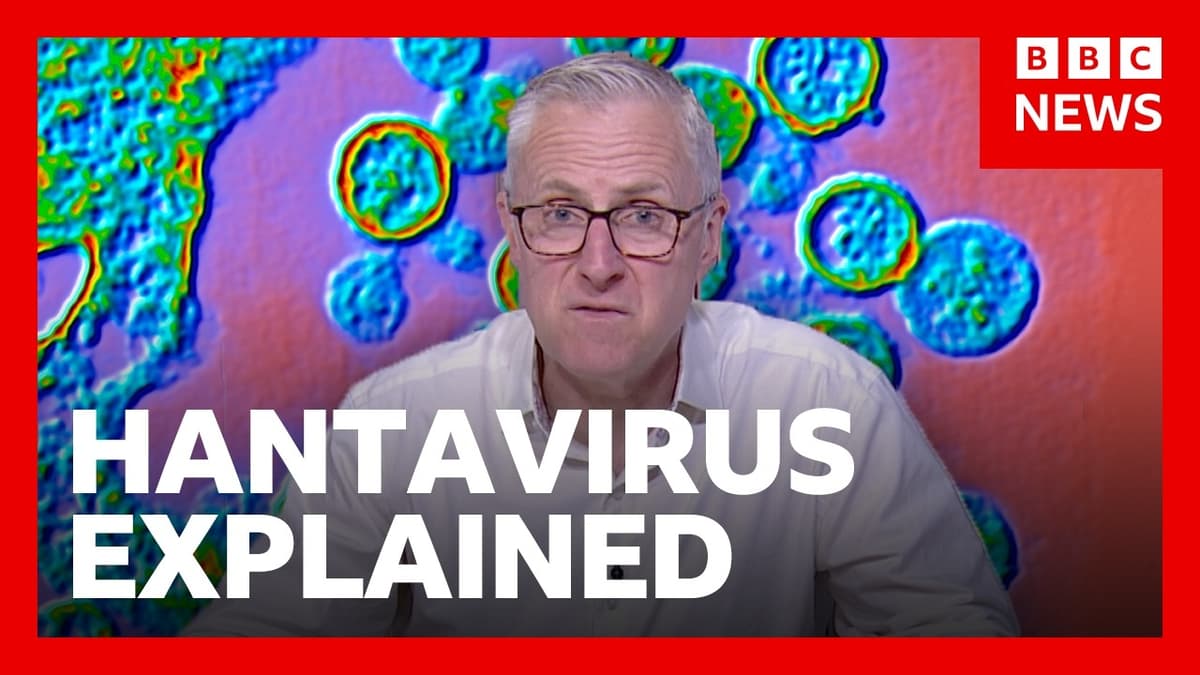 What Is Hantavirus and How Is It Spread? | BBC News