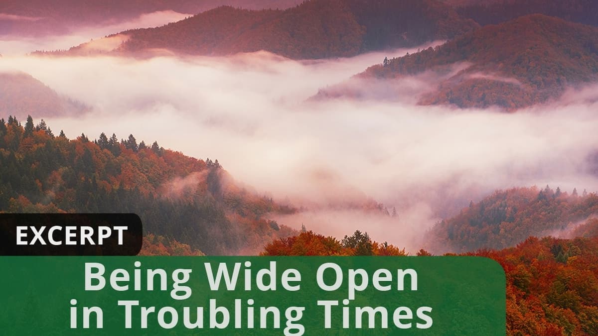 Being Wide Open in Troubling Times (Excerpt)