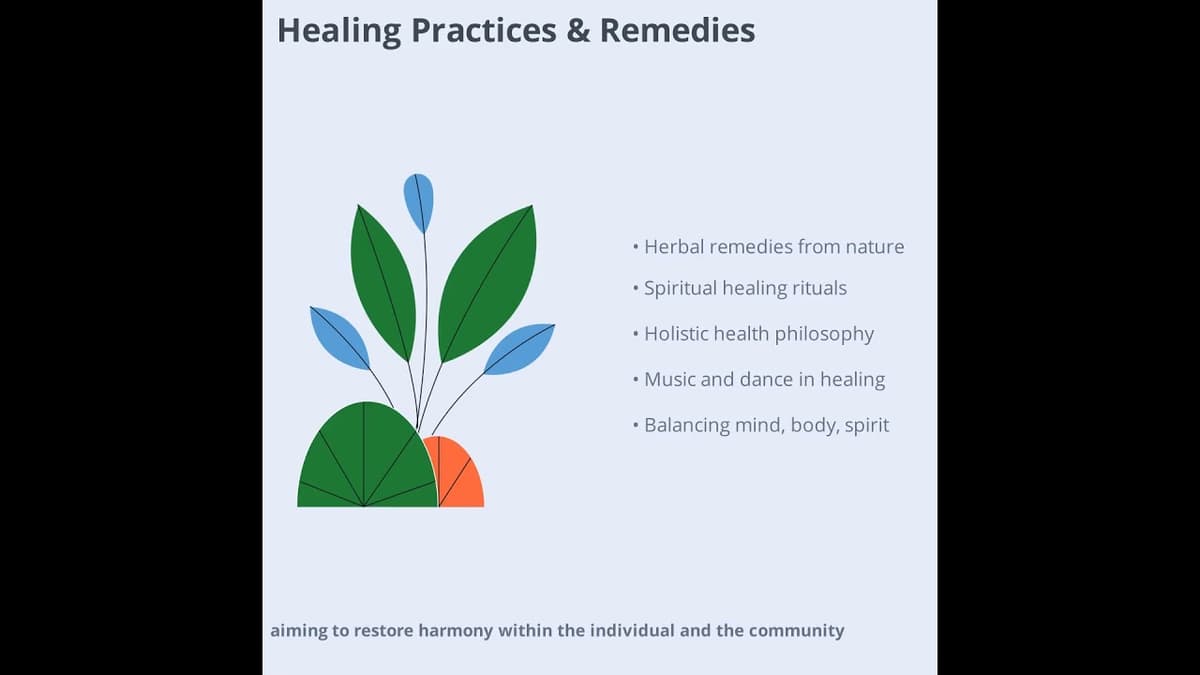 Understanding Traditional African Medicine (2 Minutes)