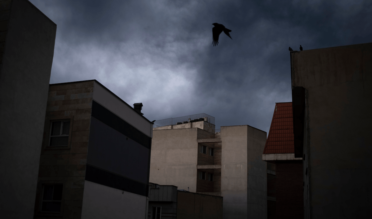 The Sun Grew Black As Sackcloth, The Moon Became Like Blood