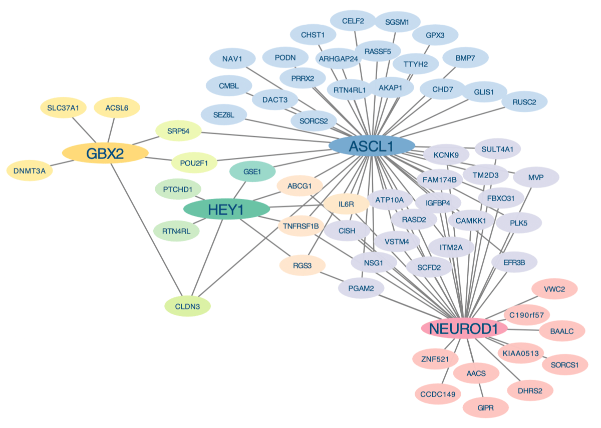 Weekly Reads: Support Brain Tumor Work, Prasad Is Out (Again), Genetic Conditions, Texas AG, Immunotherapy Paper, SCBEM