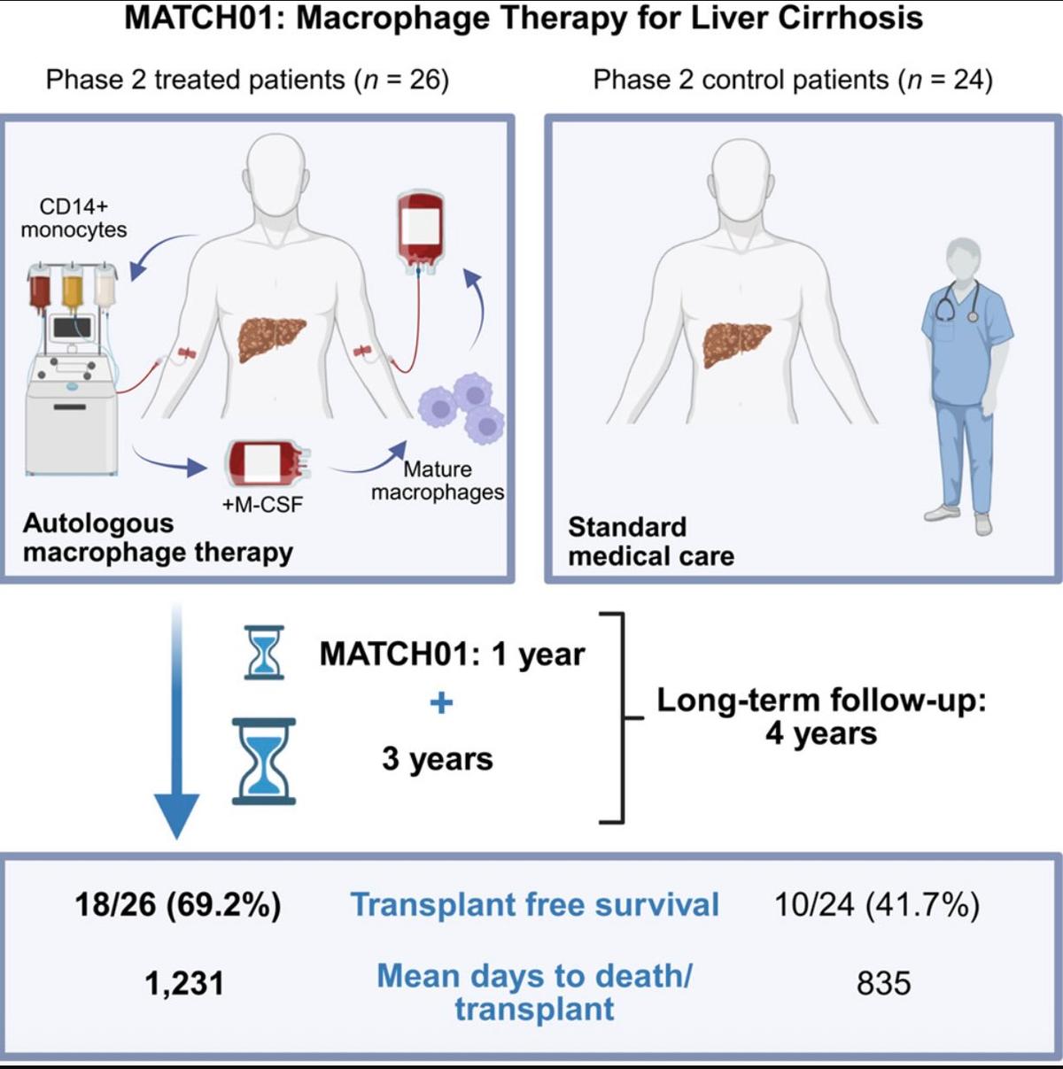 Weekly Reads: Macrophage Therapy, Putin Longevity Push, Human Embryo Base Editing