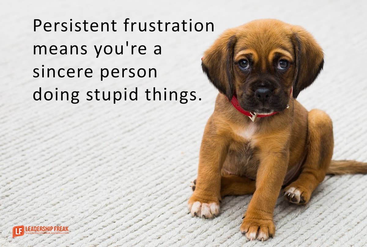 Comfort Makes You Stupid