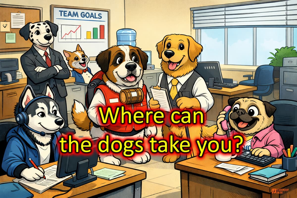 The Dogs In the Shed