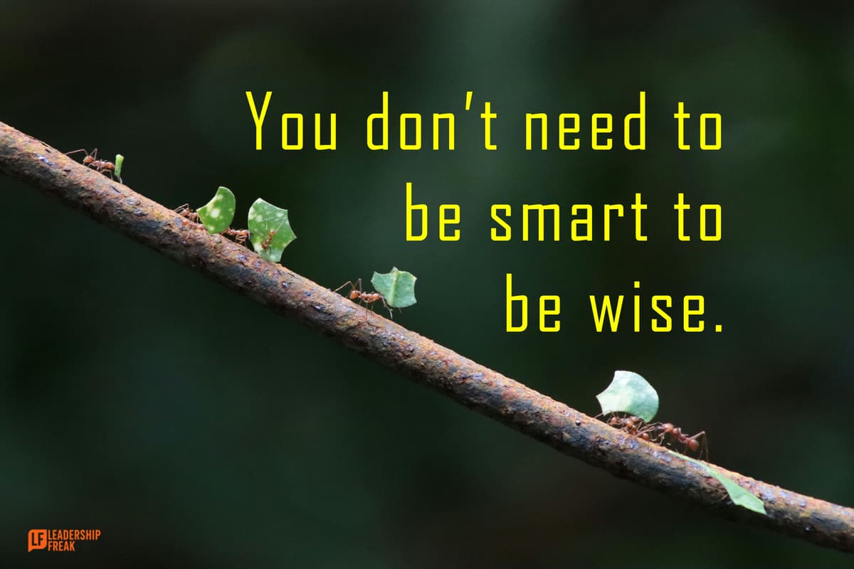 7 Tests to Expose Wise Leaders