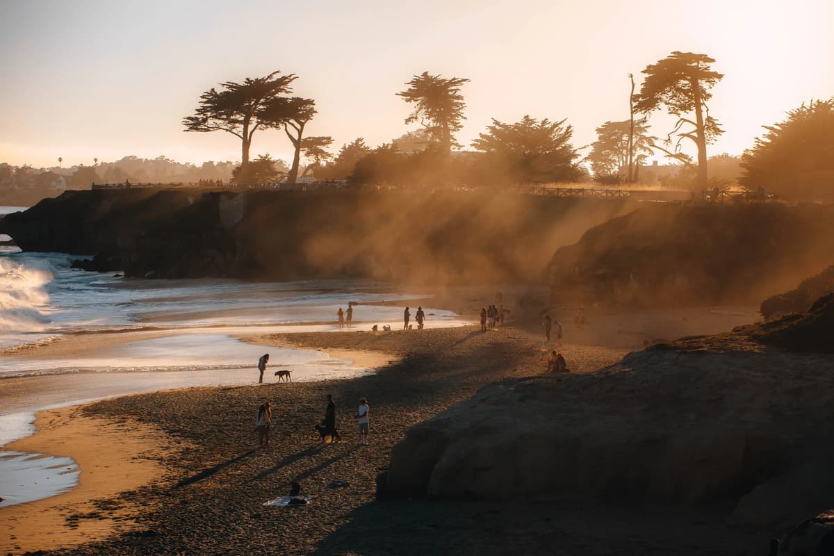 Profitable Local News. How Lookout Local’s Doing It