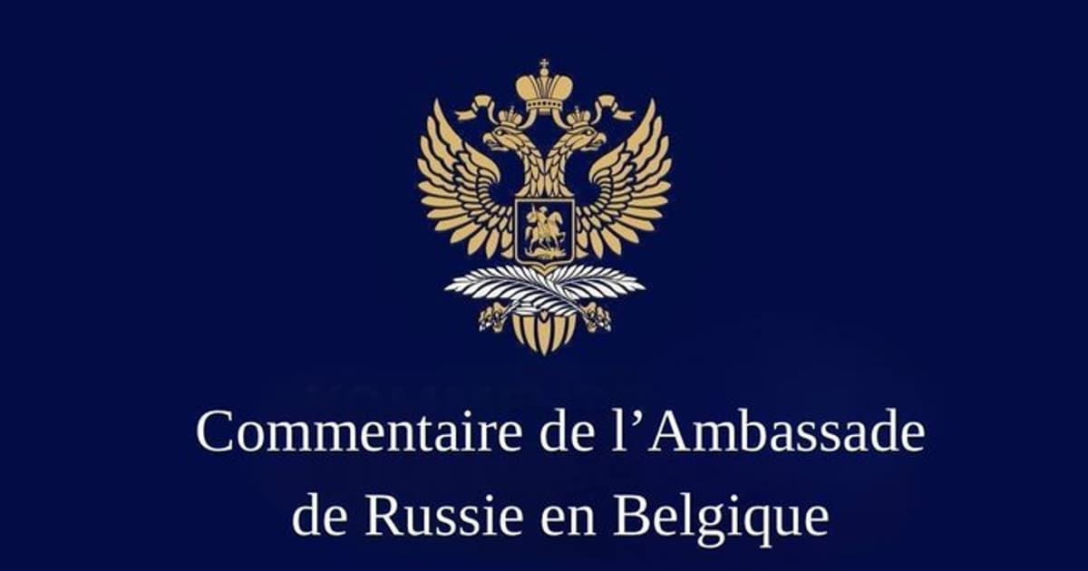 Comment by the Embassy of Russia in Belgium to RIA Novosti Agency Regarding the Latest Statements by Frederik Vansina, Head...