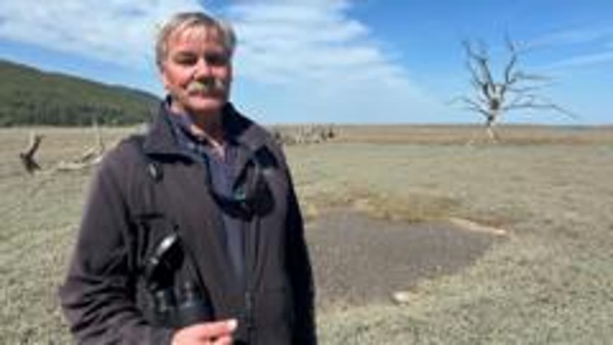 How a Hurricane Created a 'Precious Saltmarsh'