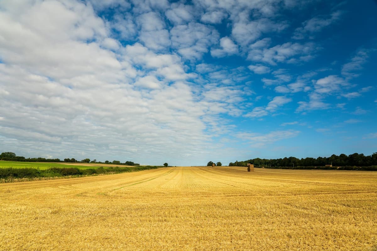 UK Government Backs £50 Million Push to Bring AgriTech to British Farms