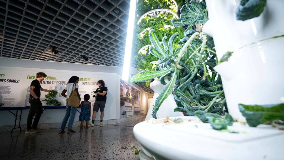 NY Sun Works Research Finds Hydroponic Classrooms Drive Measurable Civic and Climate Action