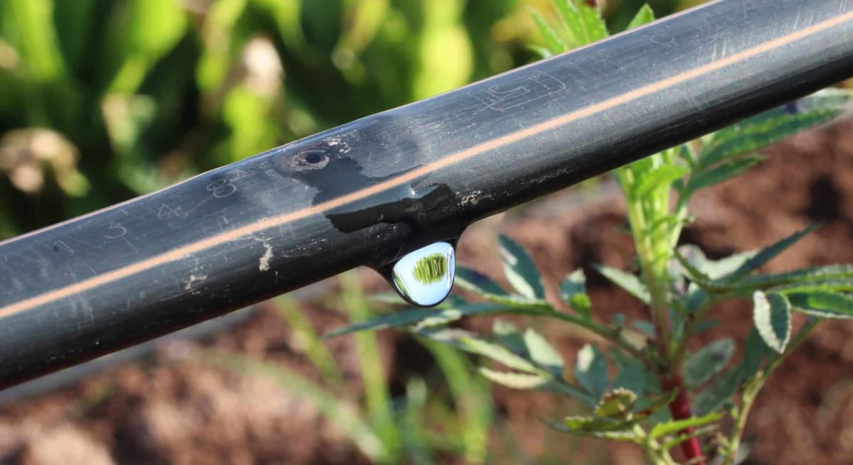 Netafim Reports 7% Revenue Growth in Q1 2026, Orbia’s Precision Agriculture Segment Advances on Turkey, Brazil, and Africa Demand