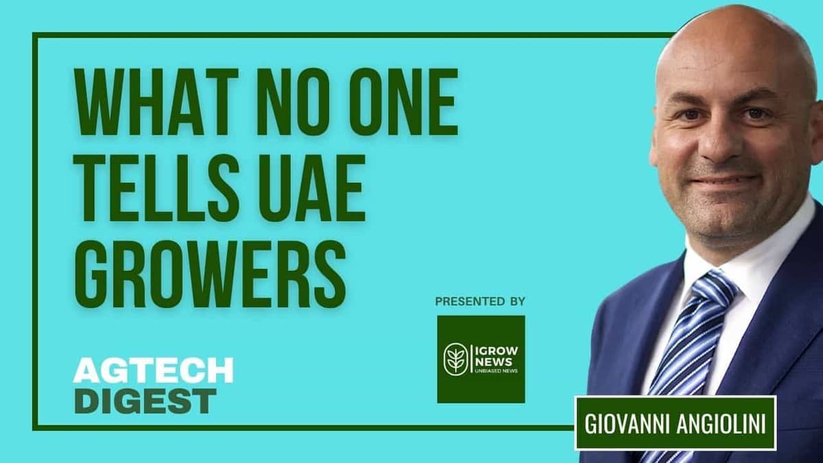 Gulf Food Security Needs Execution, Not Just Ambition