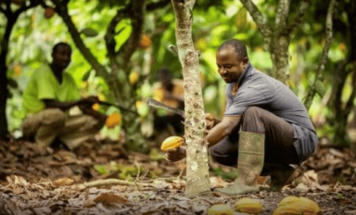 Jon Trask on How Dimitra Is Bridging the Gap Between AI and Smallholder Farming