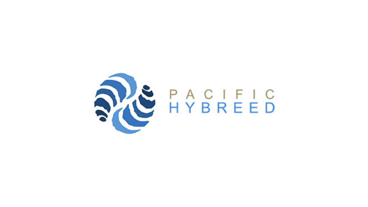 Pacific Hybreed Closes $1 Million Round to Scale Hybrid Oyster Seed Production