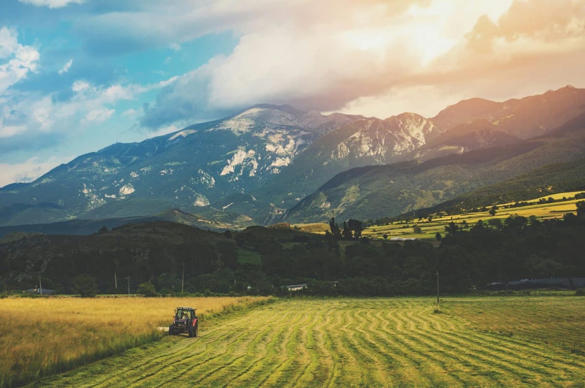 Europe AgTech Investment 2026: Why Early-Stage Capital Has Shifted