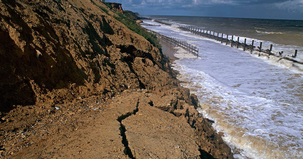 We Need to Talk About Ecosystem Collapse