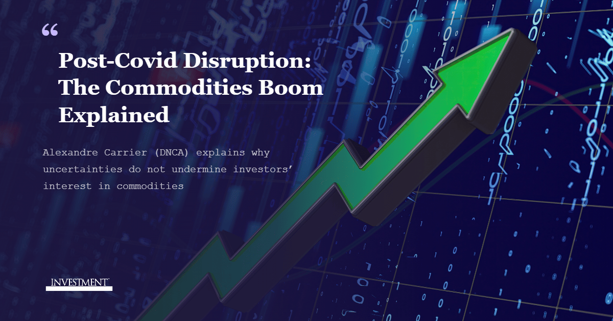 Partner Insight: No Disruption to the Post - Covid Commodities Boom