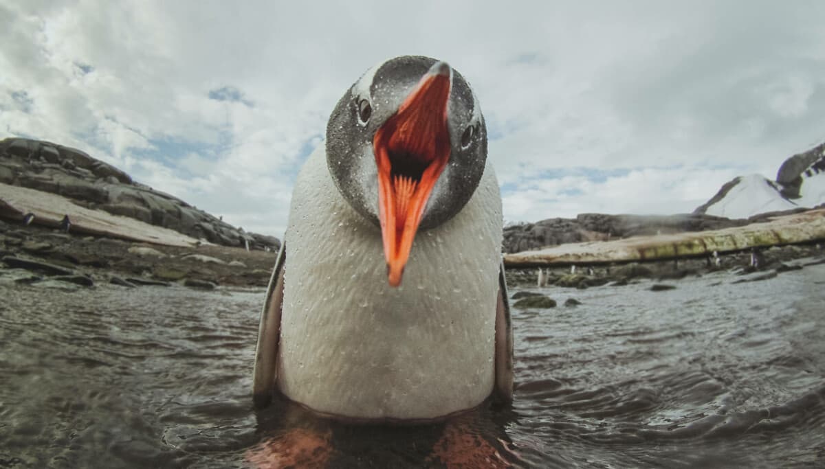 Linux Kernel Flaw Opens Root-Only Files to Unprivileged Users