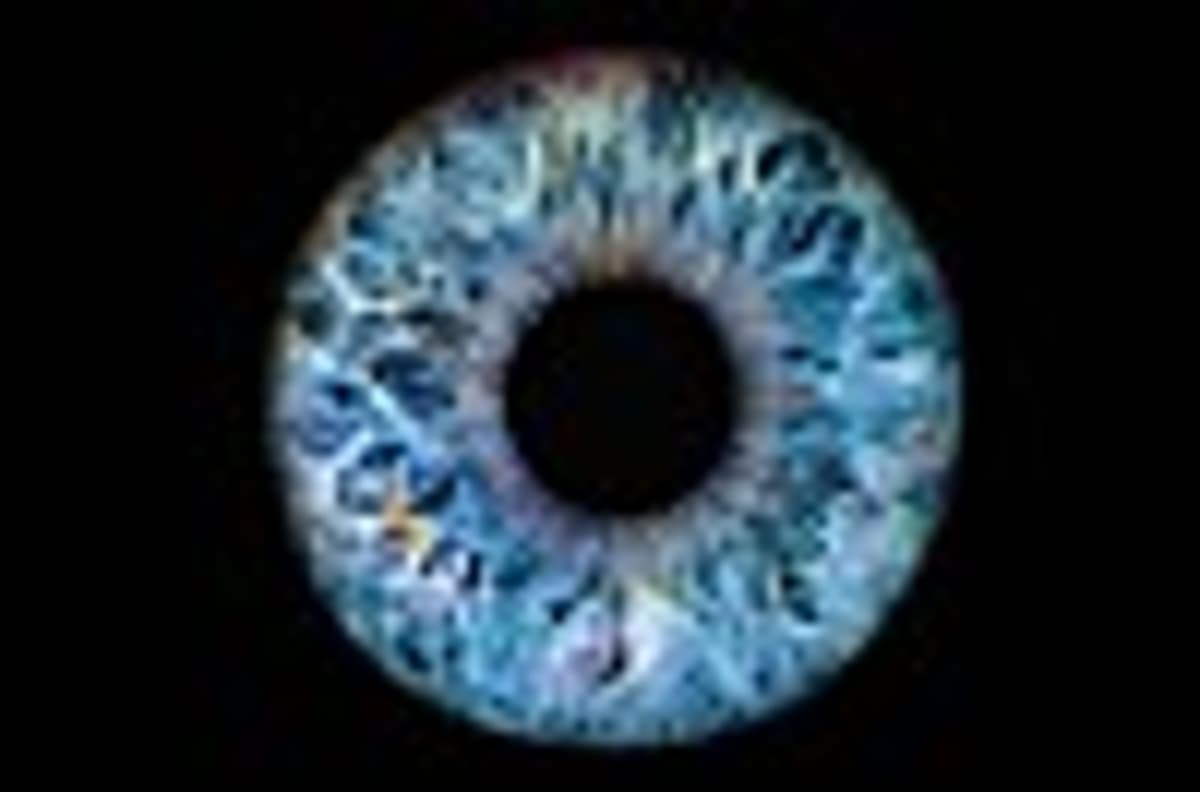 ICE to Keep an Eye on Your Eyes Under $25M Biometric Scanner Deal