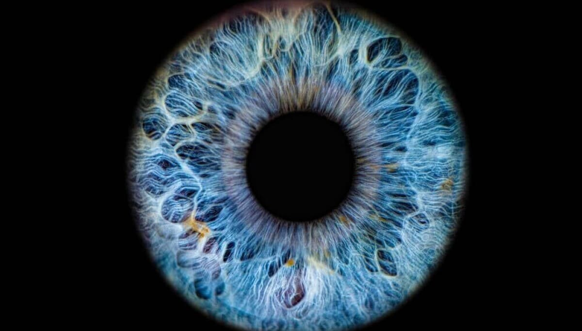 ICE to Keep an Eye on Your Eyes Under $25M Biometric Scanner Deal