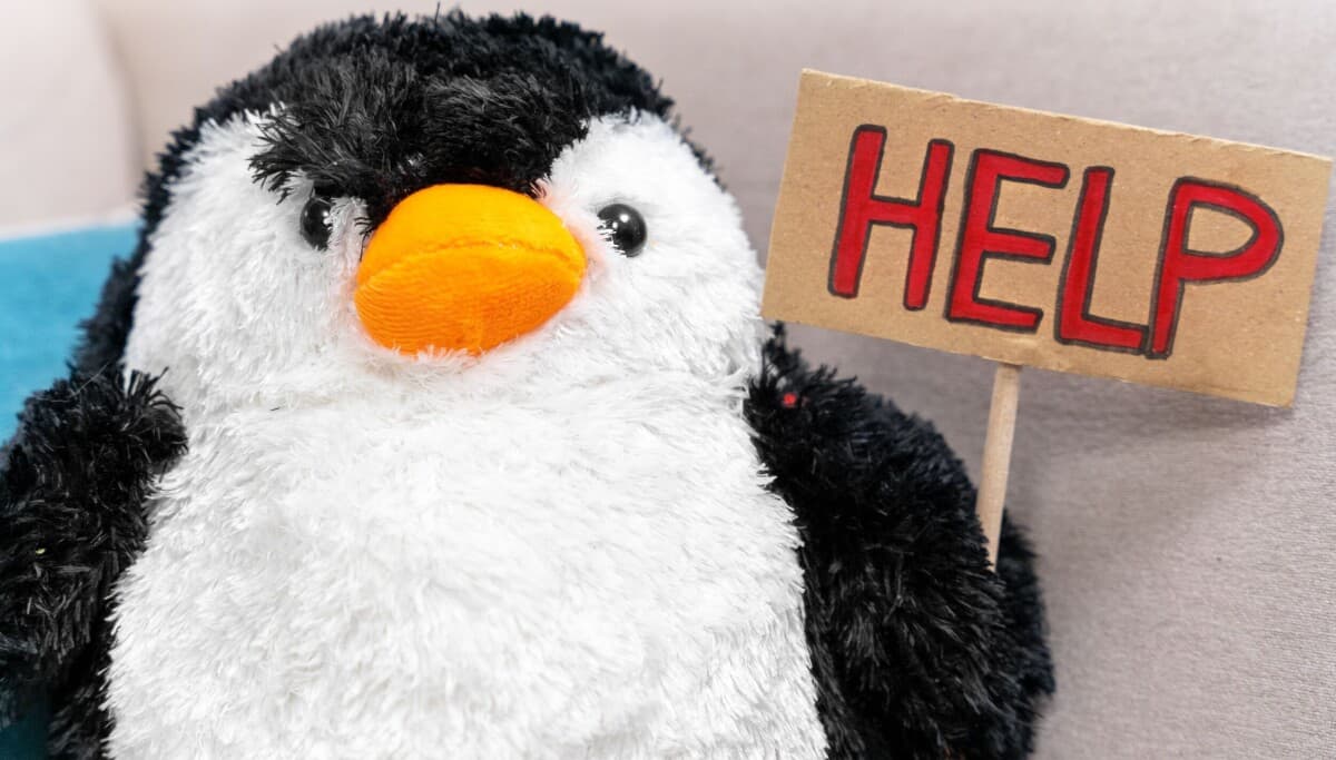 'Dirty Frag' Linux Flaw One-Ups CopyFail with No Patches and Public Root Exploit