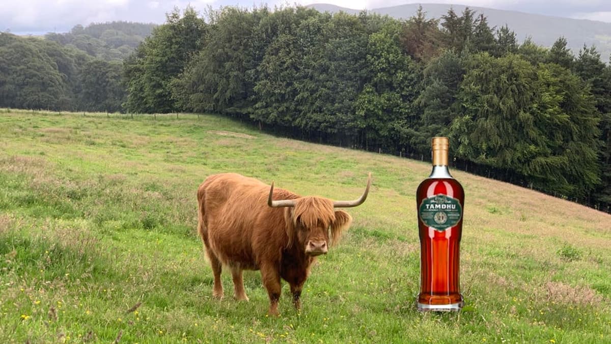 The World’s Best Scotch Whisky—According To The 2026 Spirit Of Speyside Festival