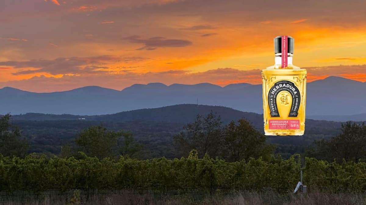 The World’s Best Tequila—According To The 2026 London Spirits Competition