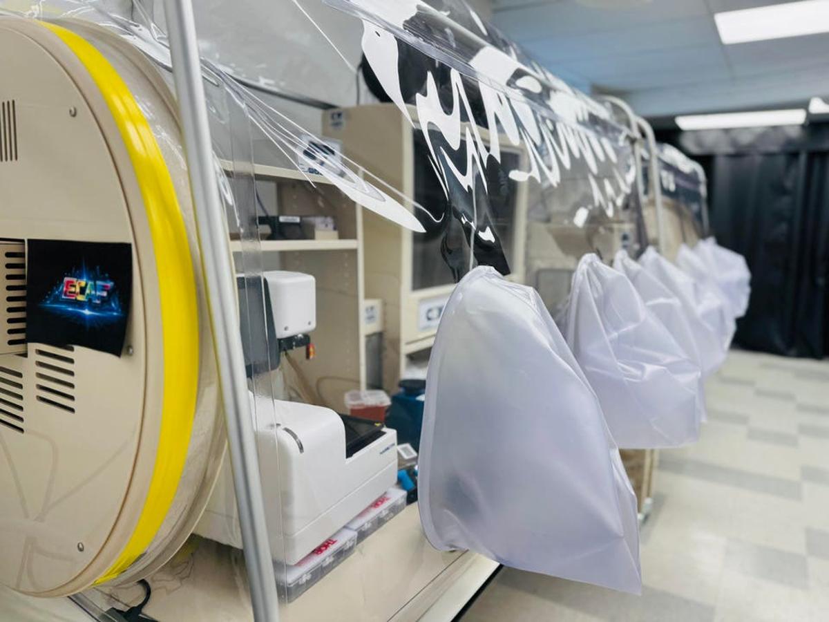The Gates Foundation Is Funding A Startup’s Plan To Fight Malnutrition With Bacteria