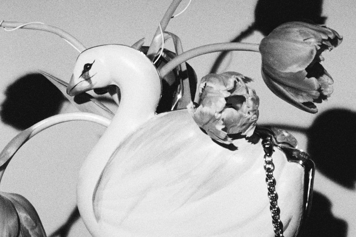 AnOther Loves: A Volucrine Minaudière