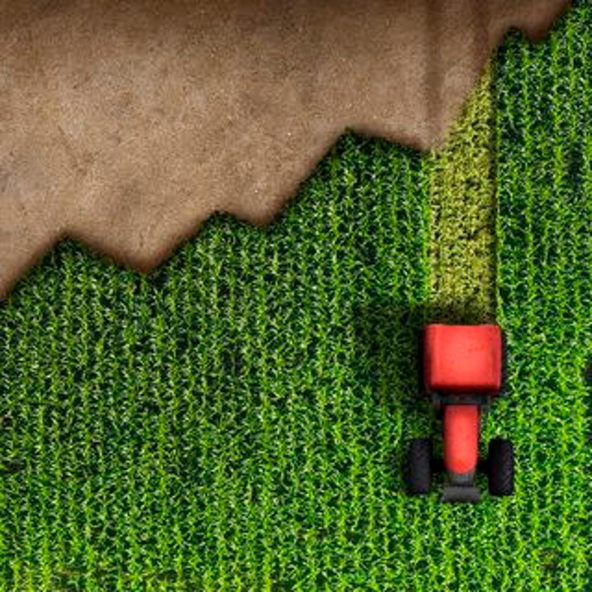 Farmers Growing Increasingly Desperate Amid Rising Energy and Fertilizer Prices