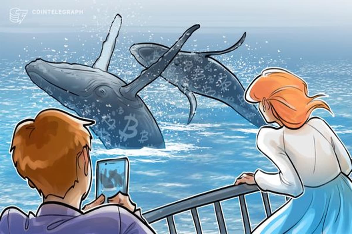 Bitcoin Whales Quietly Embrace BlackRock ETF Following SEC Rule Change