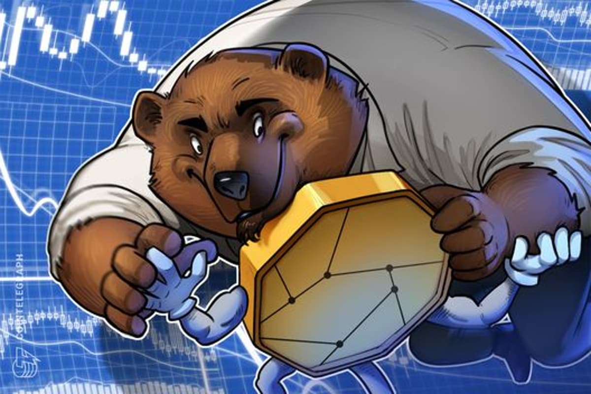 Crypto’s Next Bear Market Will Have a Brand-New Trigger: Willy Woo