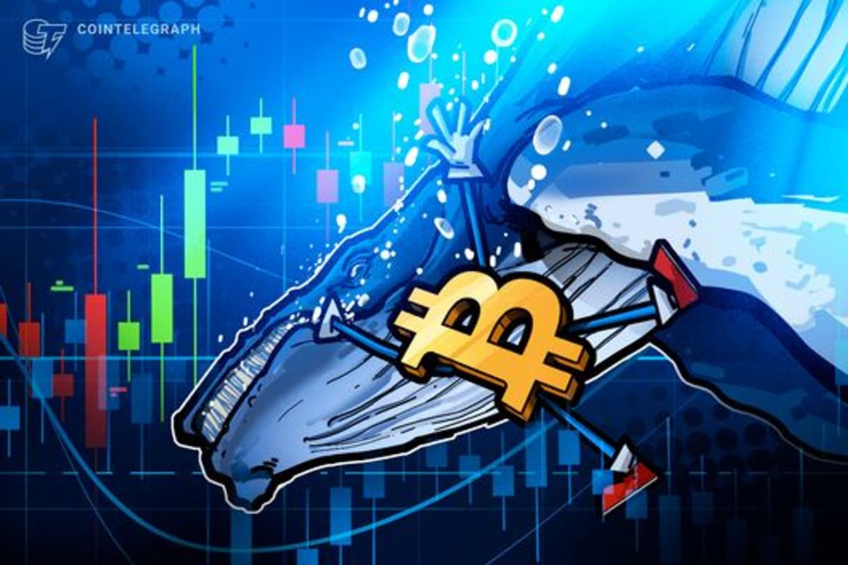 Bitcoin Whales Switch to Buying Amid ‘Extreme Fear’