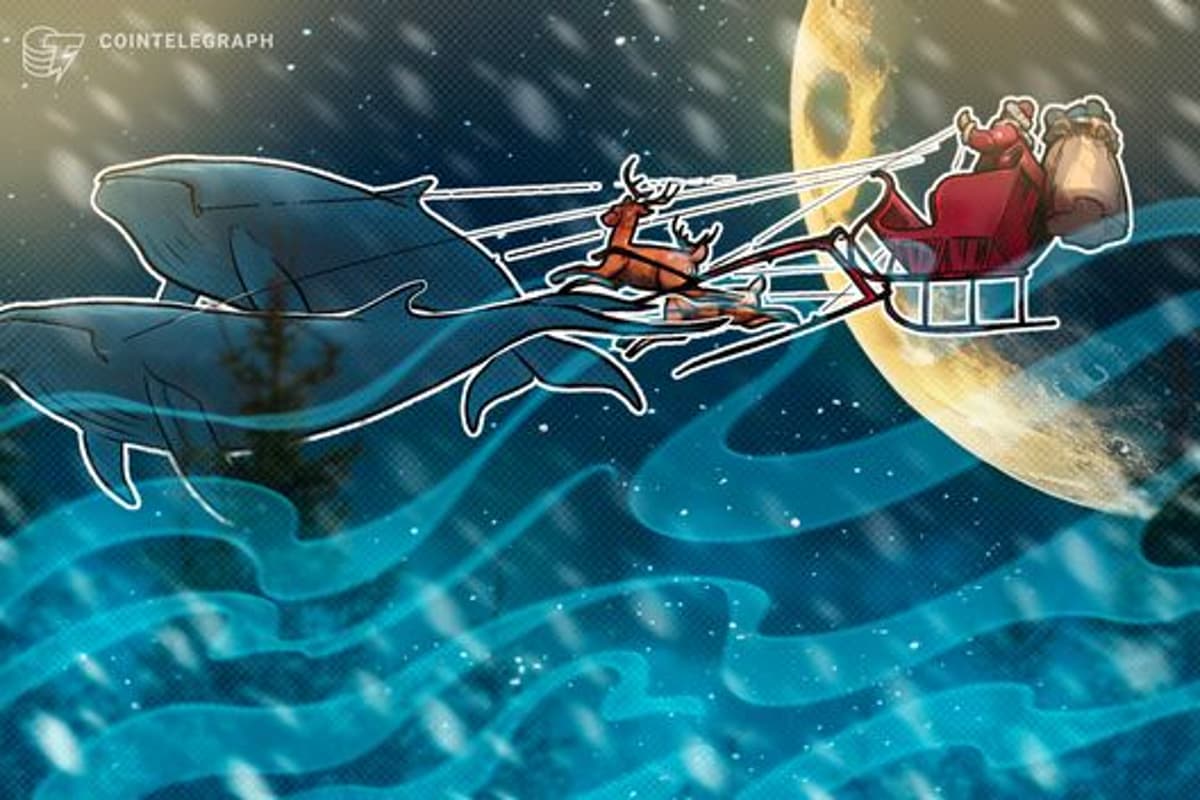 Retail Vs. Whales: Who Actually Drives the Santa Rally?
