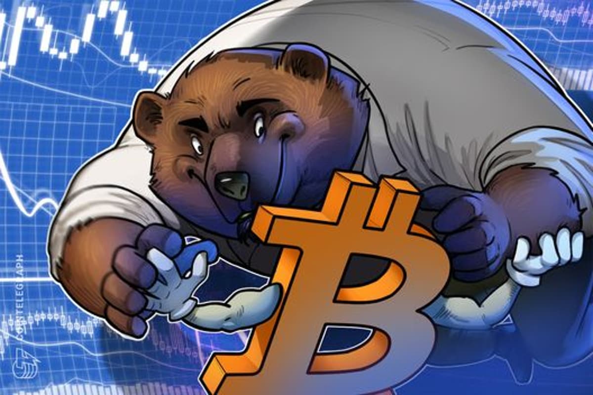 Chainlink Co-Founder’s 2 Reasons This Bear Market Feels Different