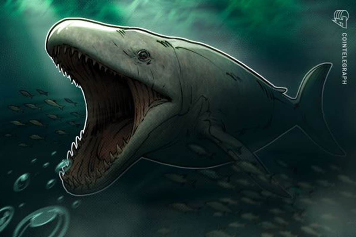 The Whale Awakening: Why Dormant Crypto Giants Are Suddenly Back in Motion