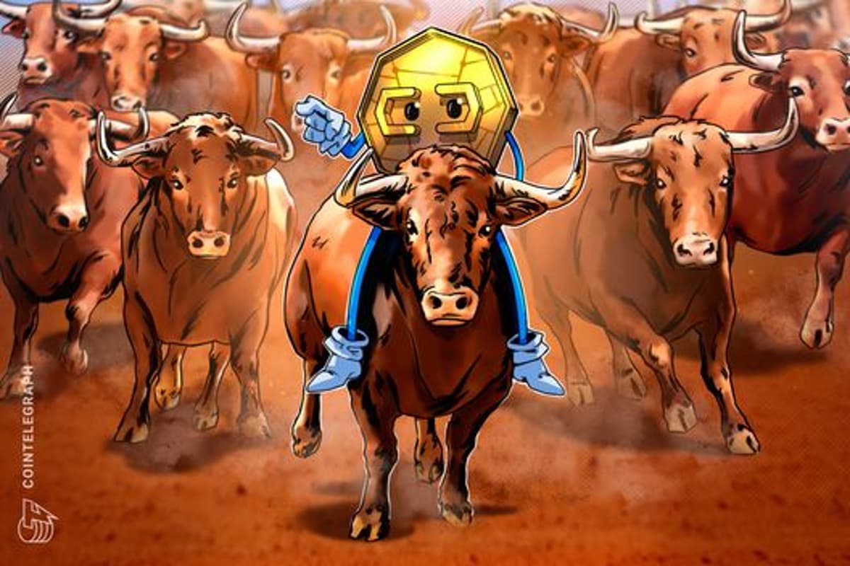 Crypto Has Everything Needed for a Bull Market, so Why Is the Market Down?