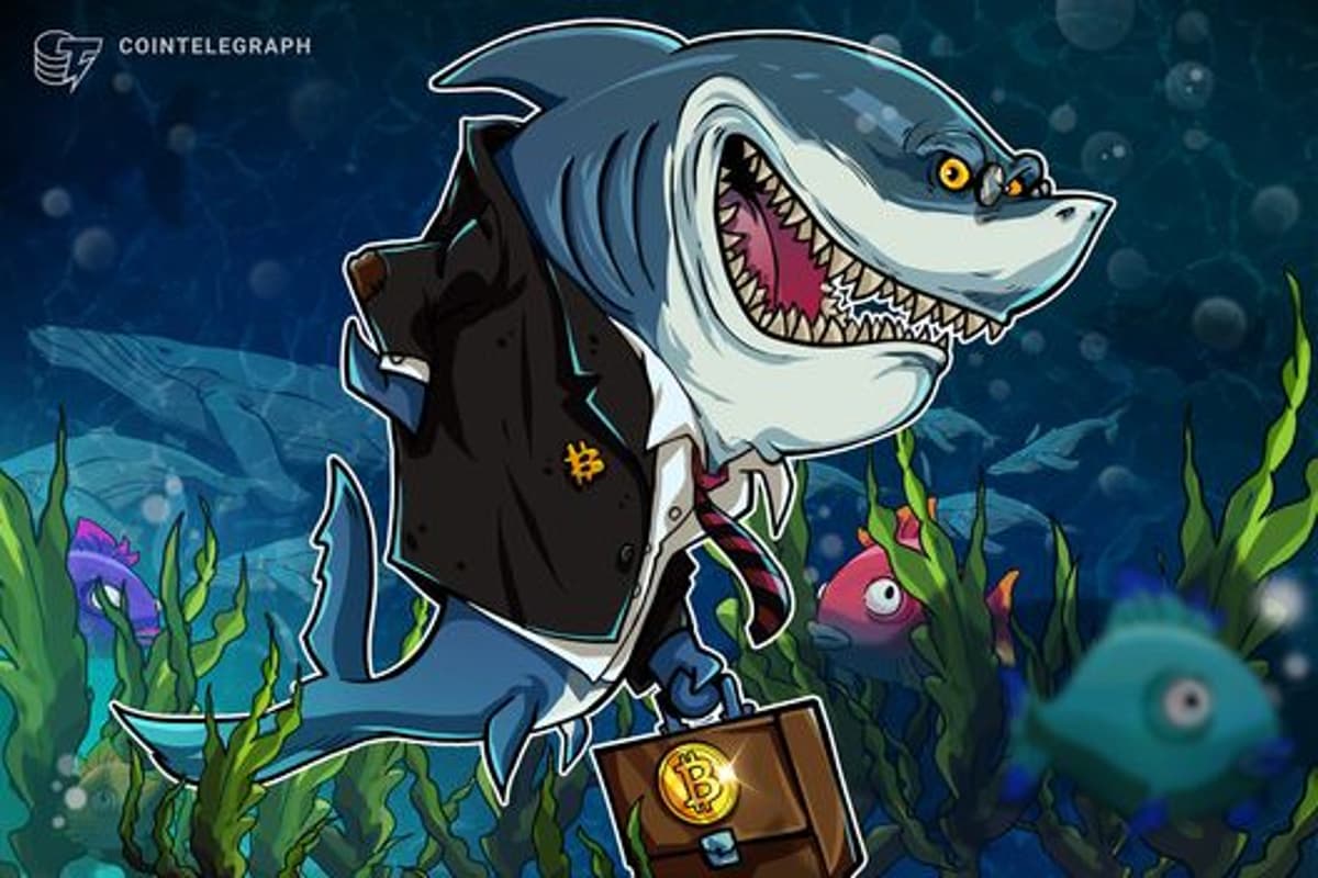 Bitcoin Sharks Scoop up BTC Like It's 2013 Despite 'Perfect Bull Trap'