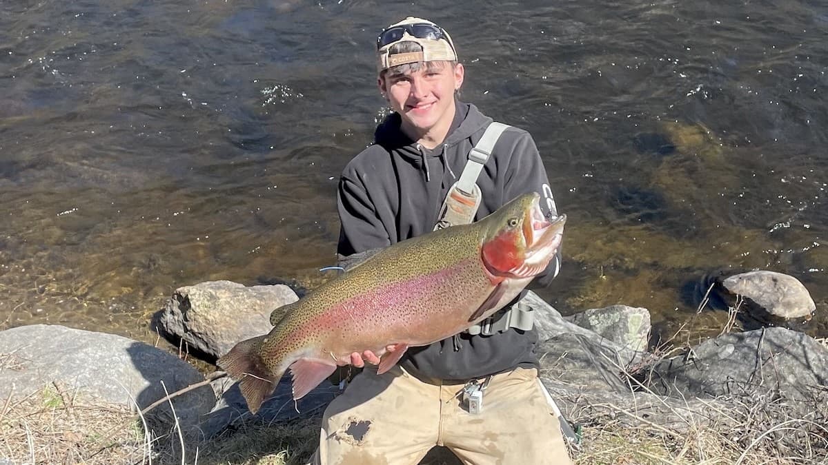 Connecticut’s New State Record Rainbow Was Used to 'Help Trigger' Hatchery Salmon to Eat