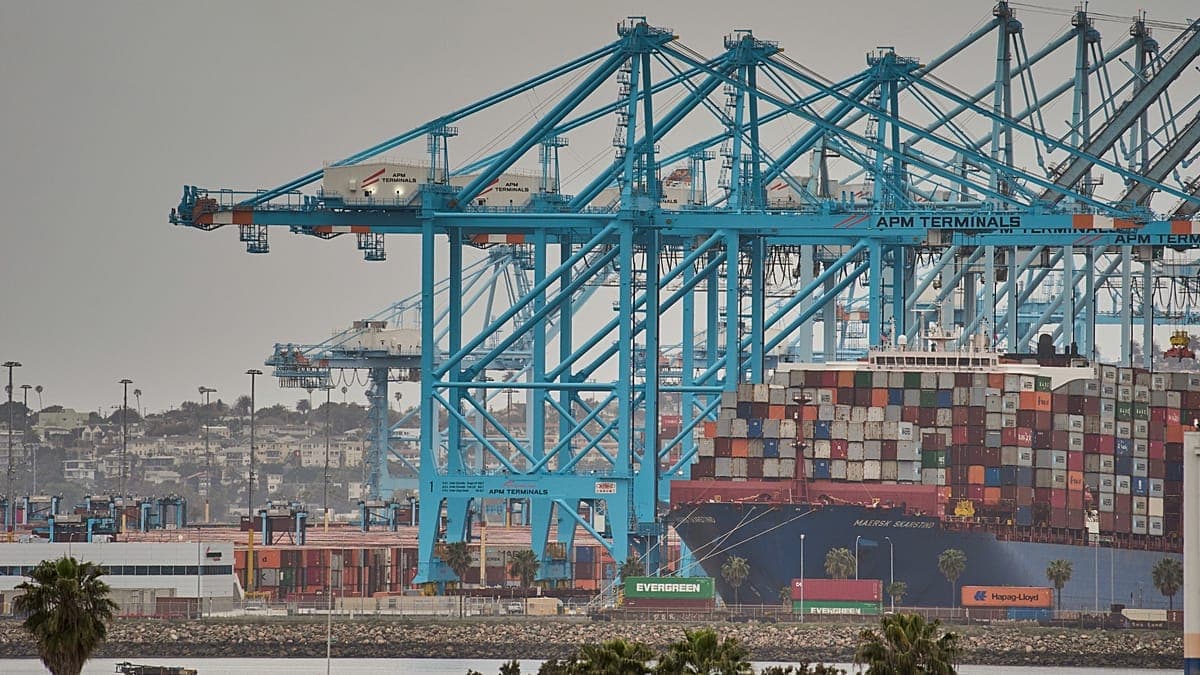 Maersk Profit Falls Sharply as Firm Keeps Forecast Despite Hormuz Uncertainty