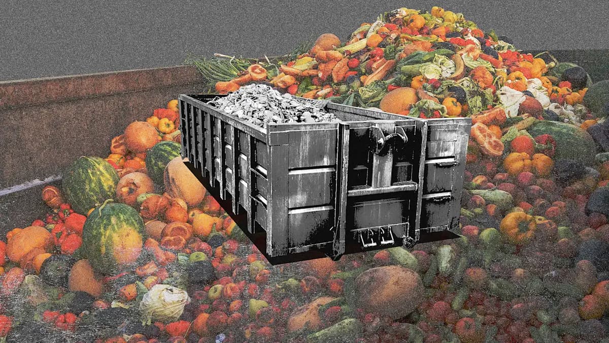 An AI Fix for America’s $27 Billion Grocery Waste Problem